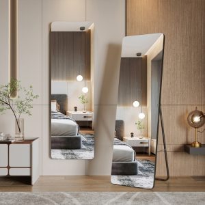 Long Body Mirror With Light Mirror